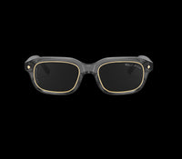 Luxury gray sunglasses