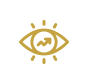 Vision Icon