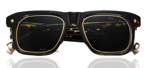 Key Features of Sunglasses: