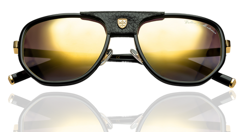 Key Features of Sunglasses: