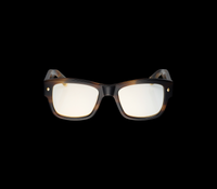 Photochromic Havana sunglasses