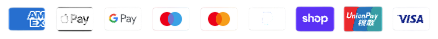 Footer Payment Logo
